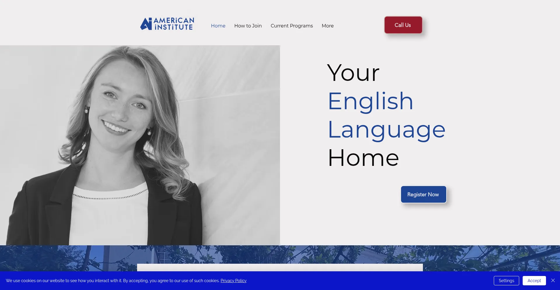 Americaninstitute.us