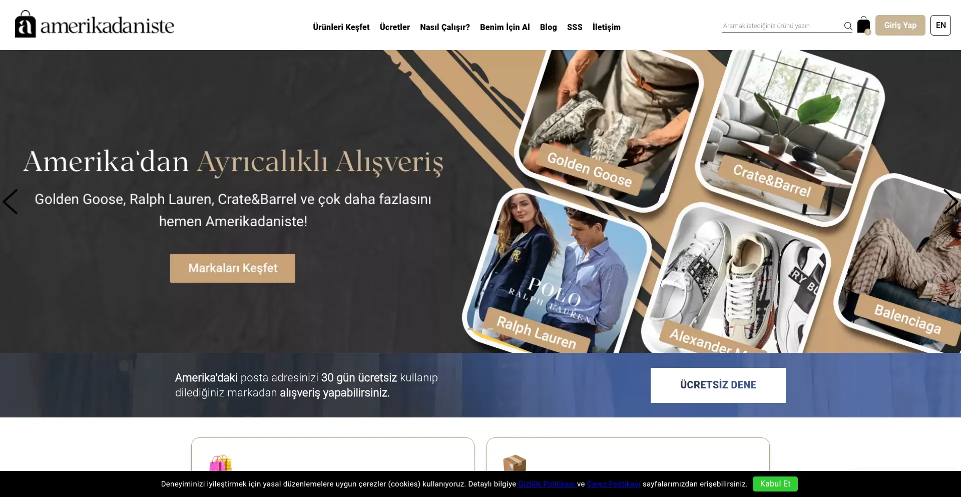 Website screenshot of Amerikadaniste.com