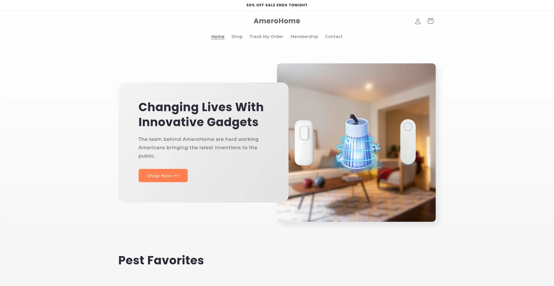 Website screenshot of Amerohome.com