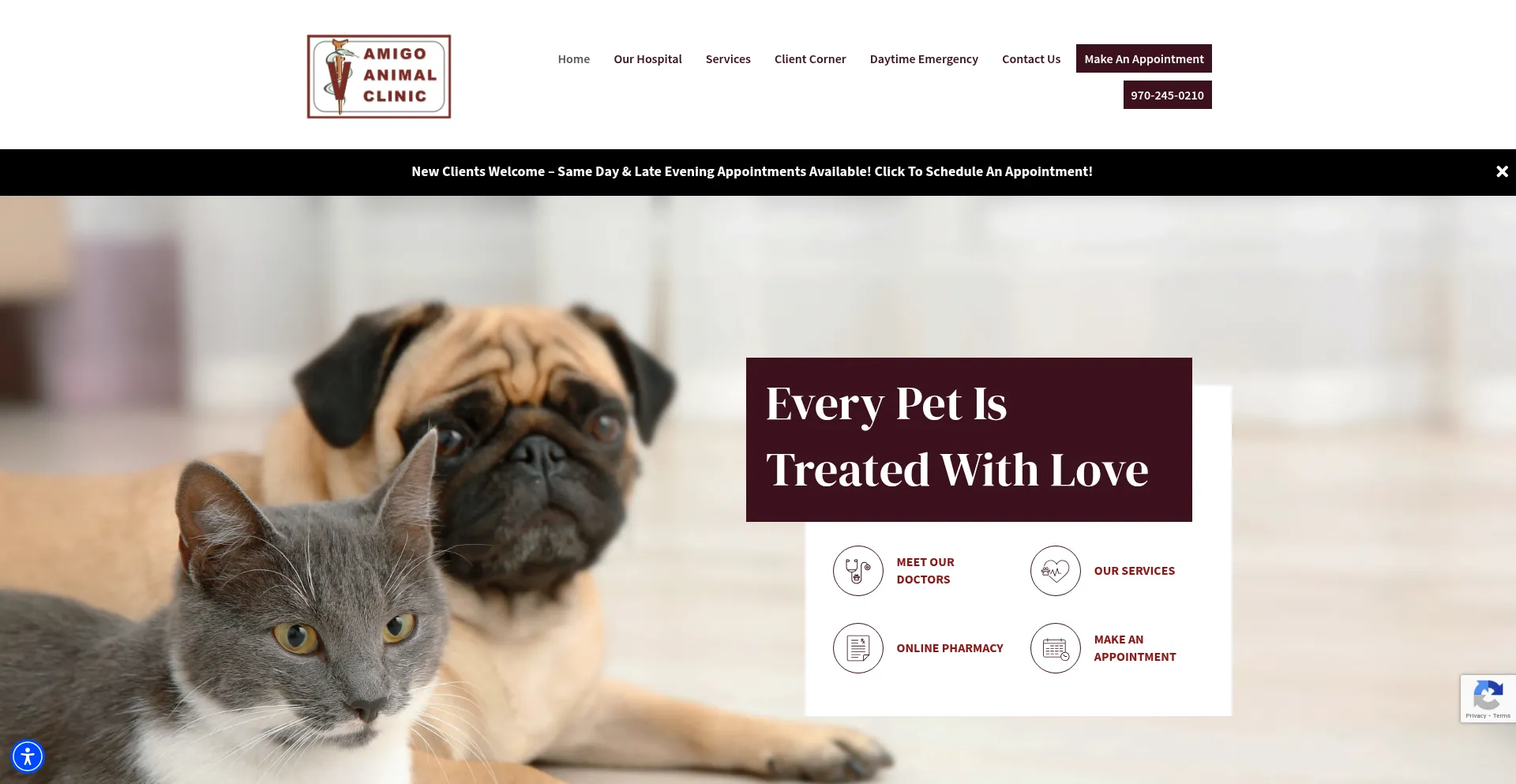 Website screenshot of Amigoanimalclinicgj.com