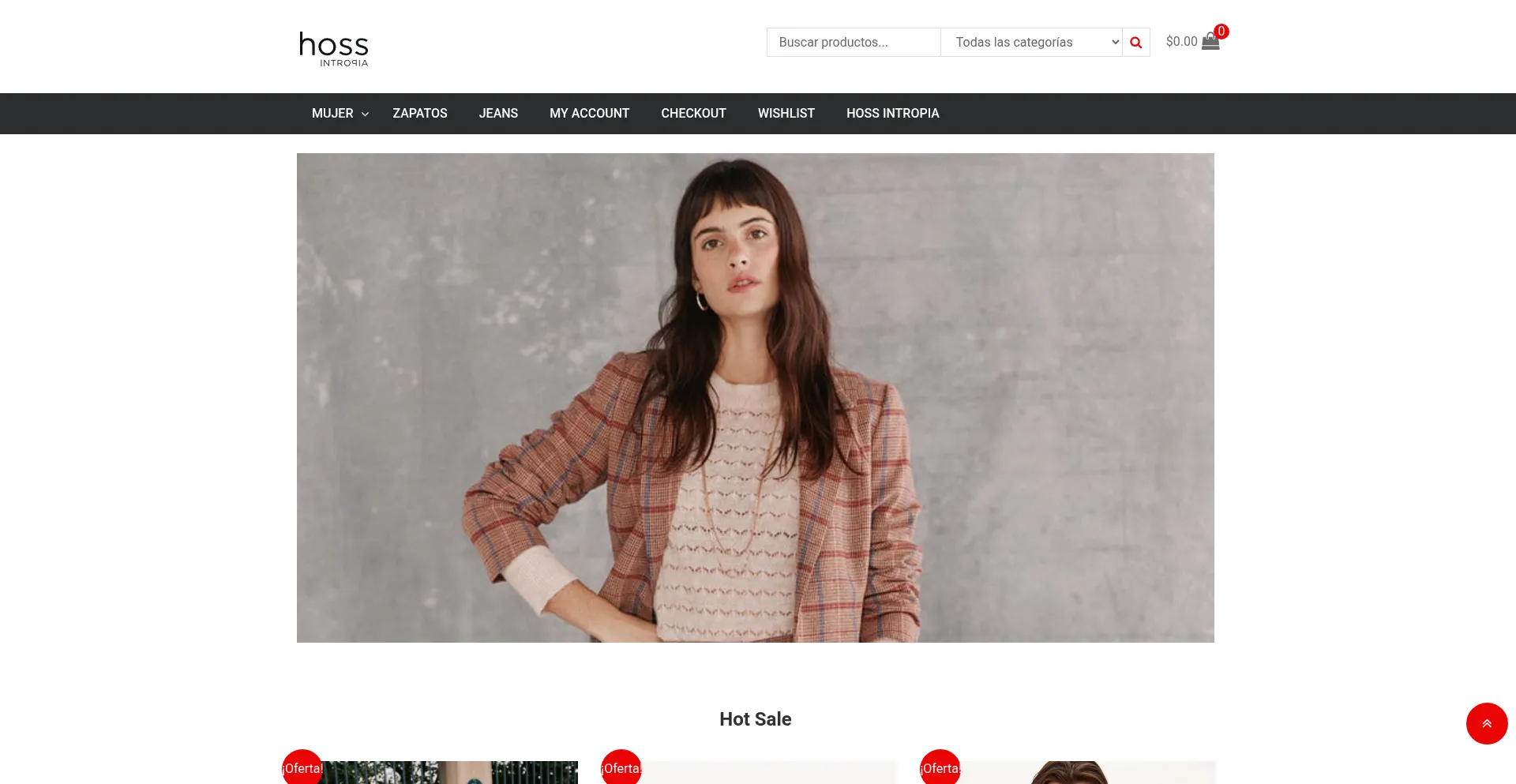 Website screenshot of Aminaannen.shop