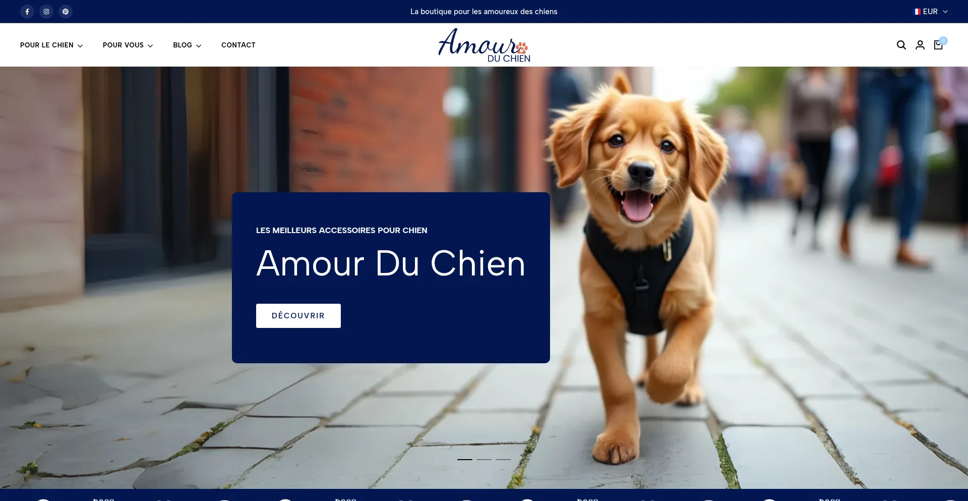 Website screenshot of Amour-du-chien.com