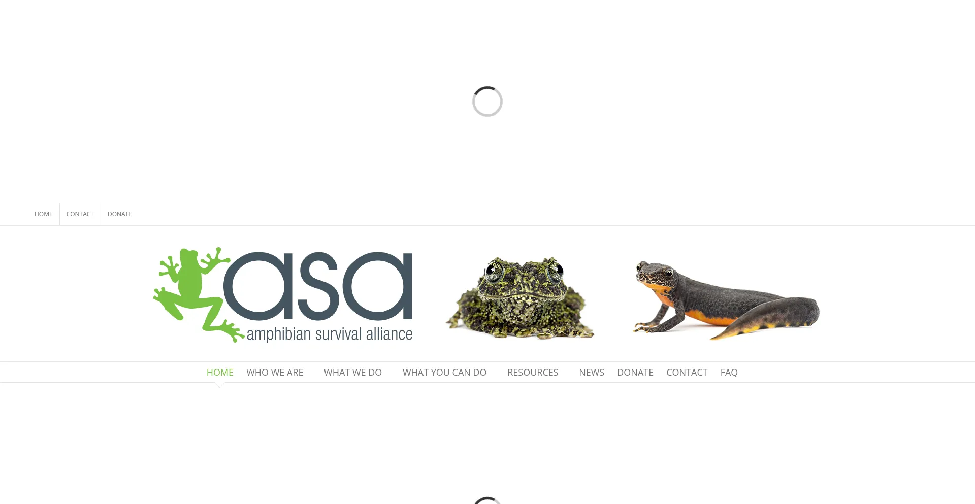 Website screenshot of Amphibians.org
