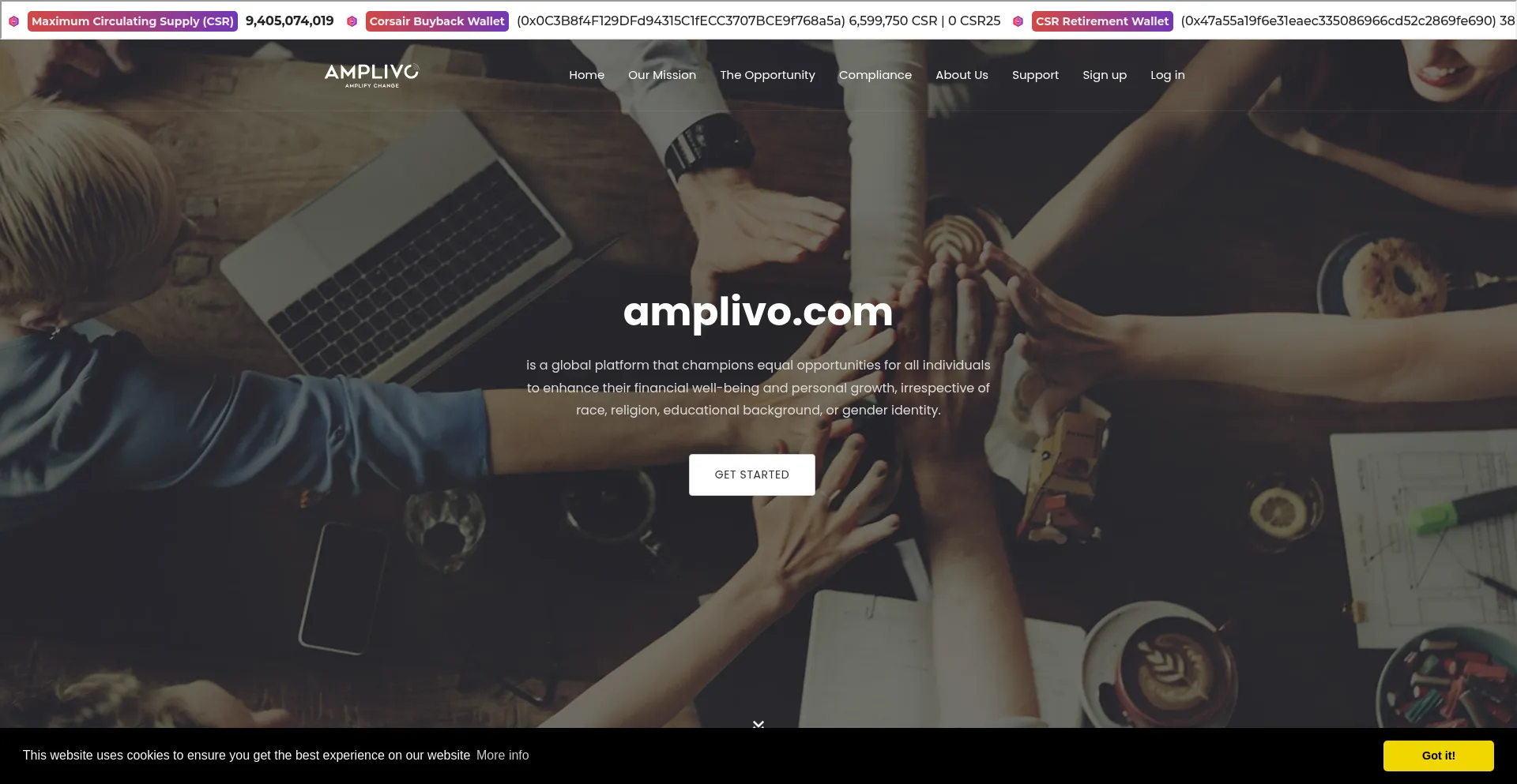 Website screenshot of Amplivo.com