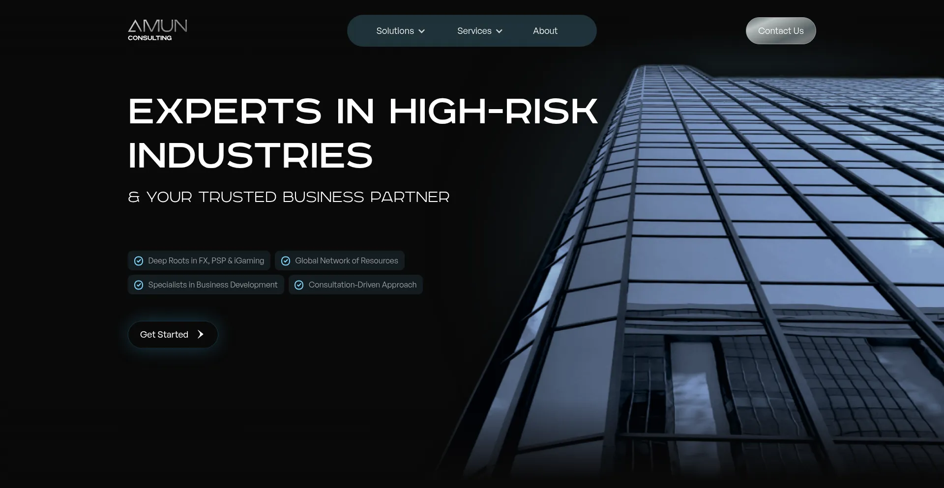 Website screenshot of Amun.consulting