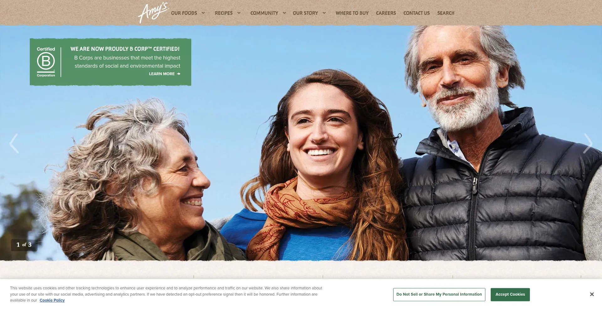 Website screenshot of Amys.com