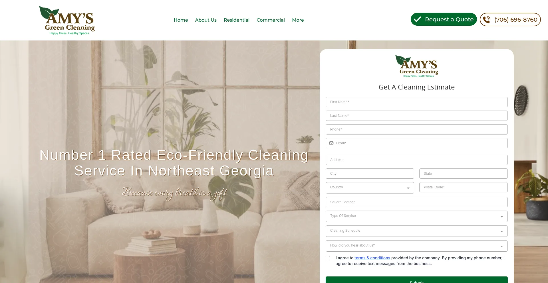 Amysgreencleaning.com