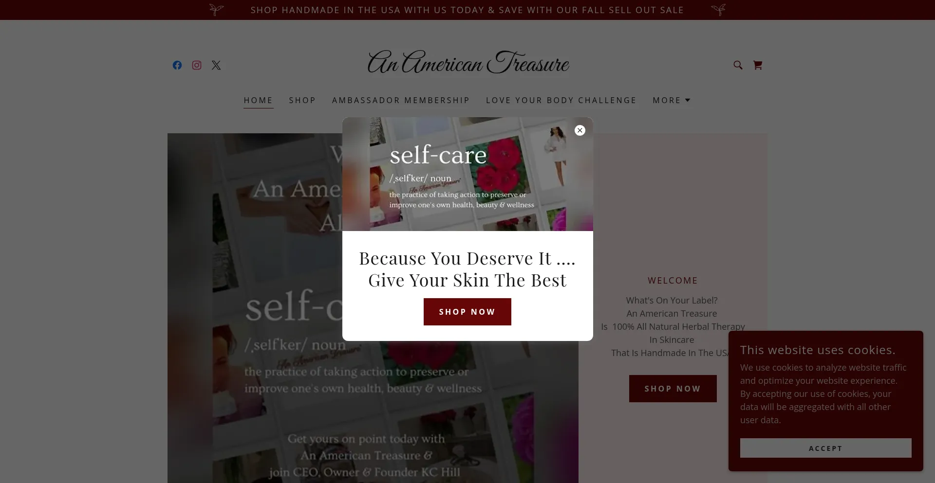 Anamericantreasure.com Screenshot
