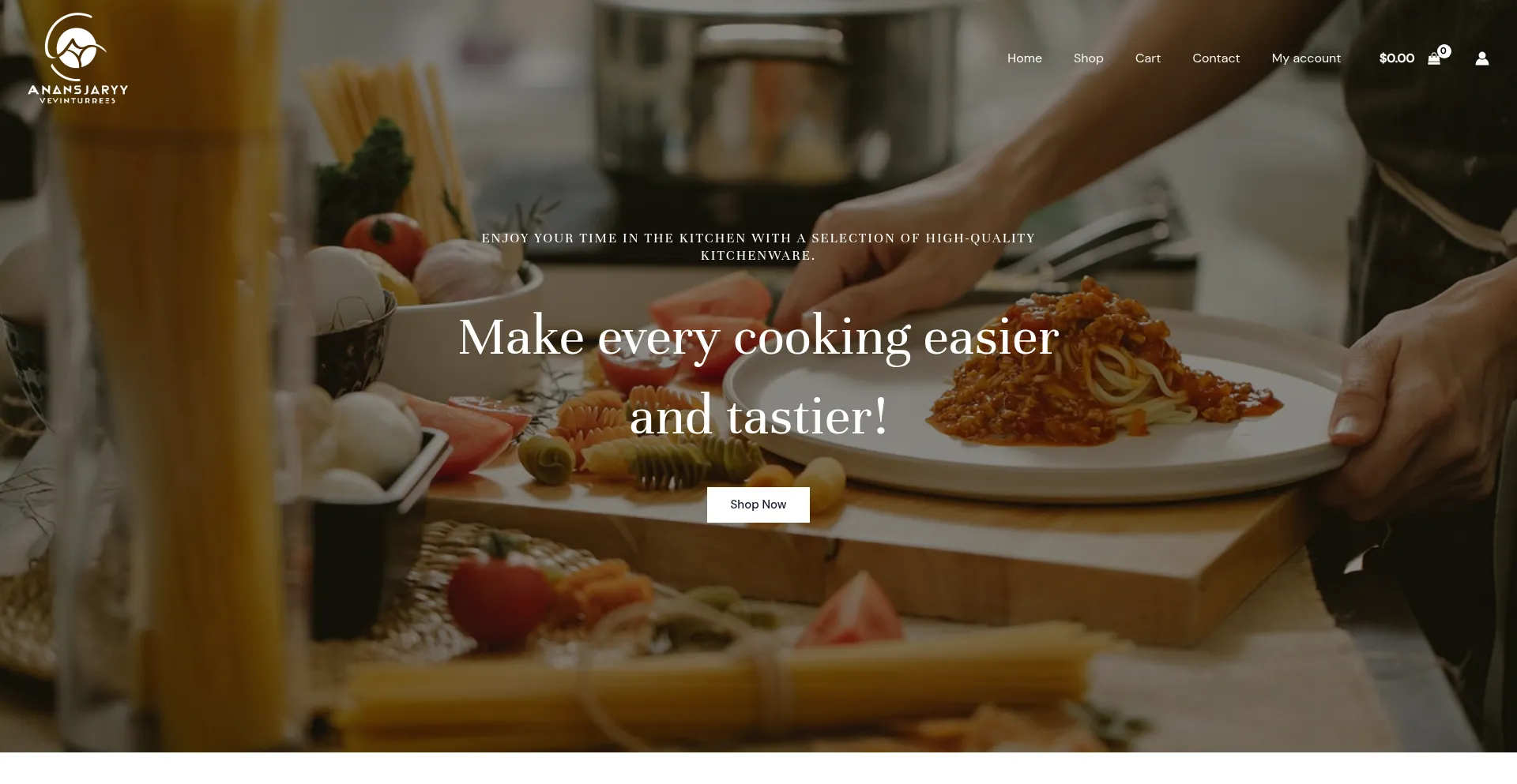 Website screenshot of Anavisionaryventuresllc.me