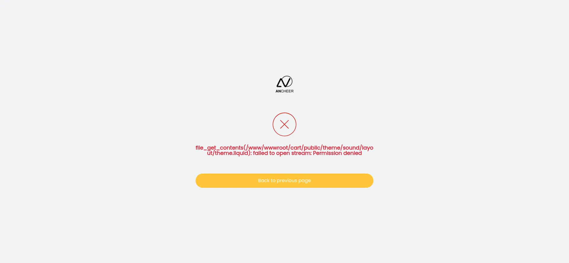 Website screenshot of Ancheer.shop