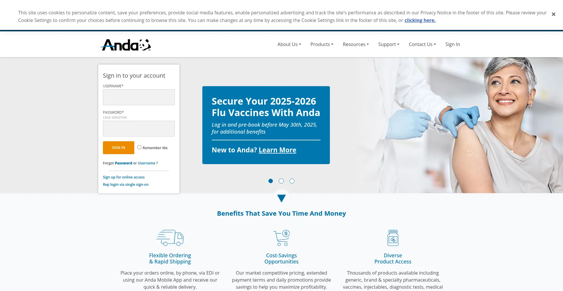 Website screenshot of Andanet.com