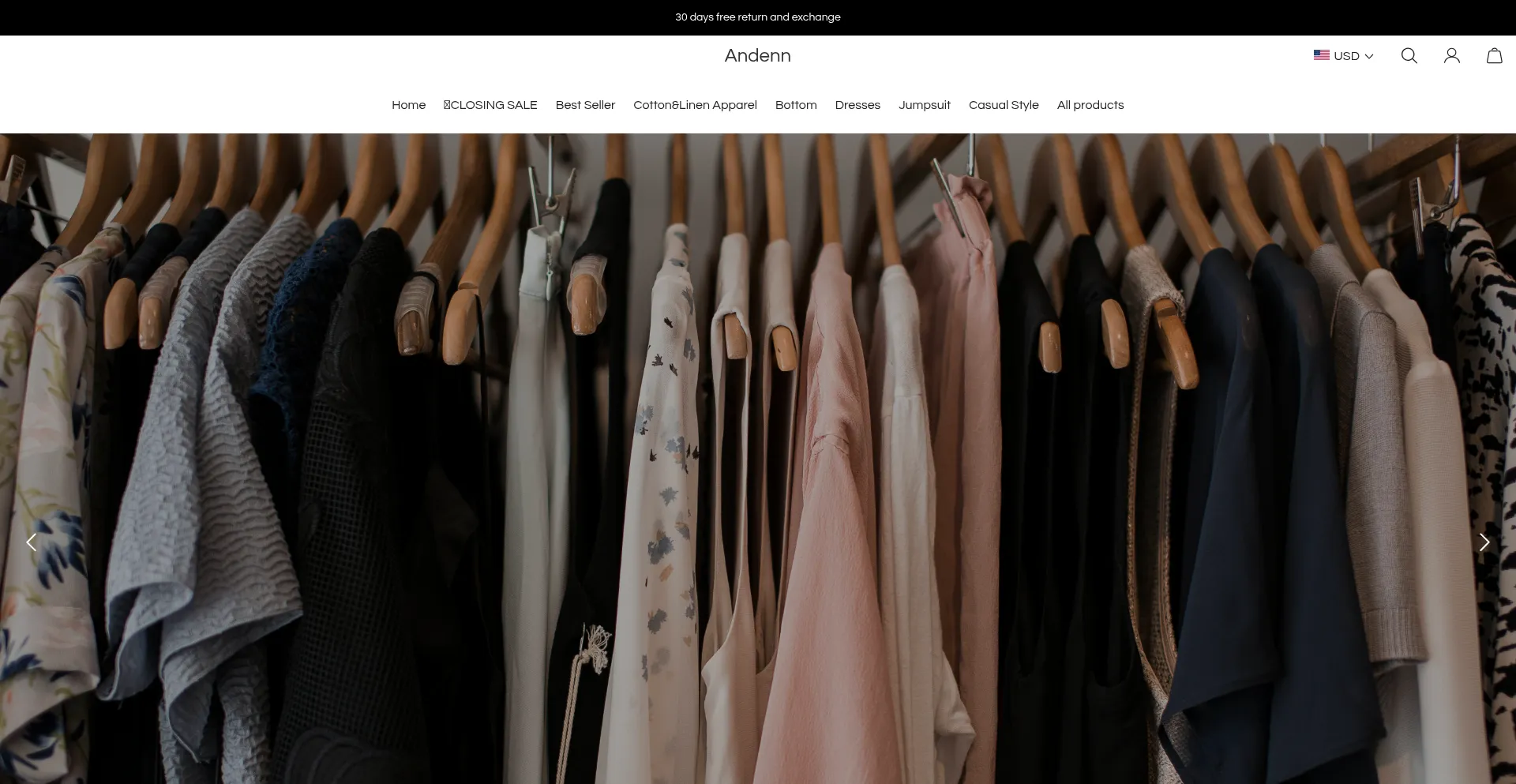 Website screenshot of Andenn.com