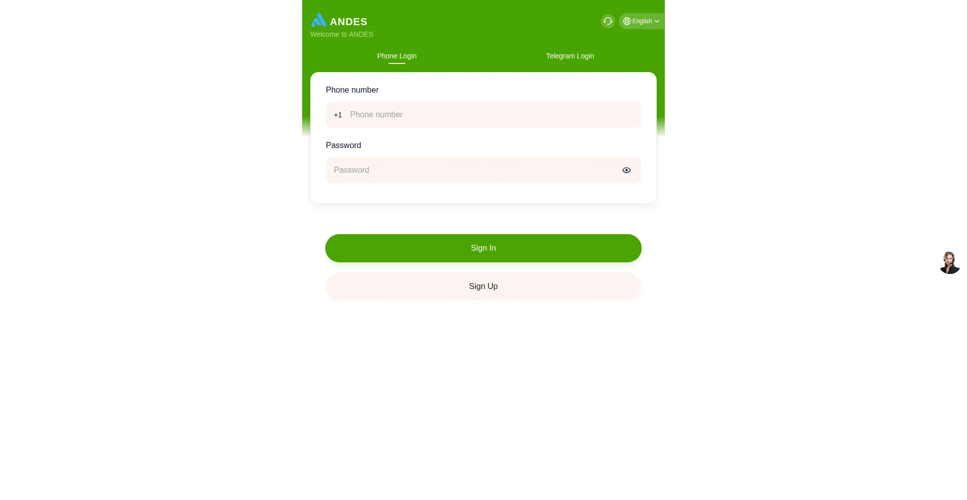 Website screenshot of Andes.ing