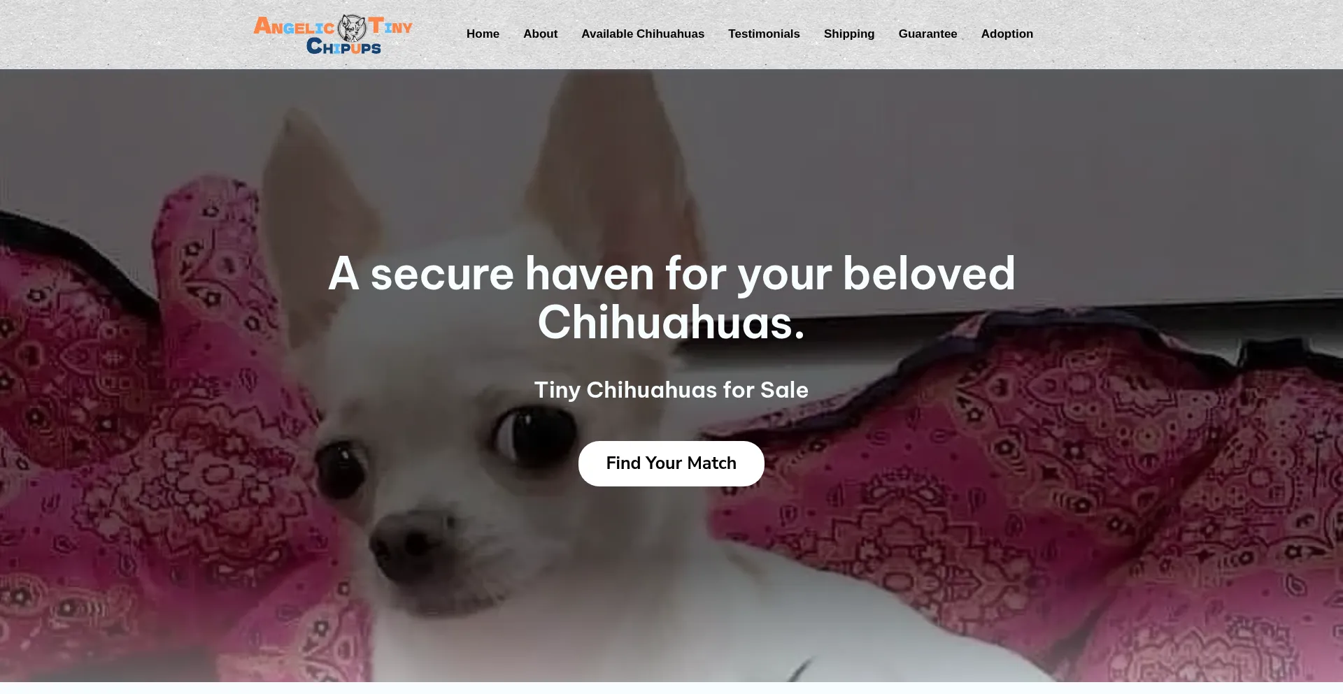 Angelictinychipups.com