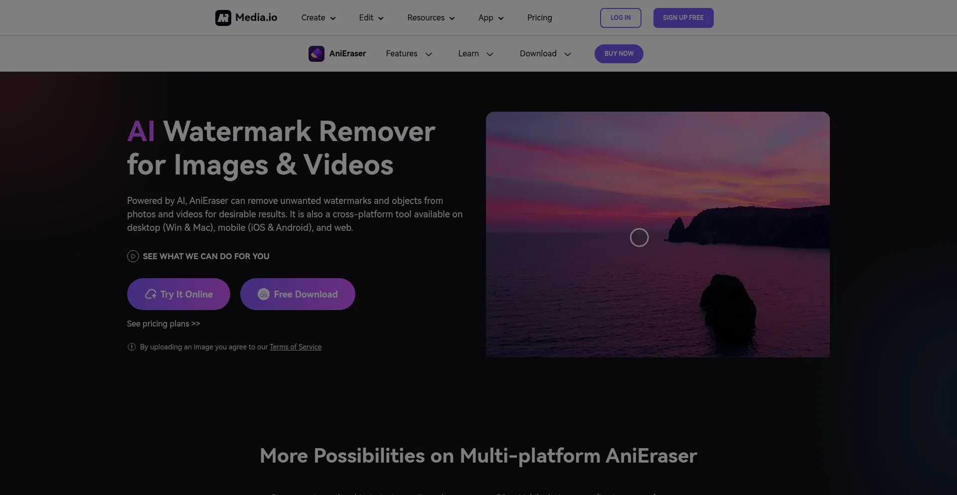 Website screenshot of Anieraser.media.io