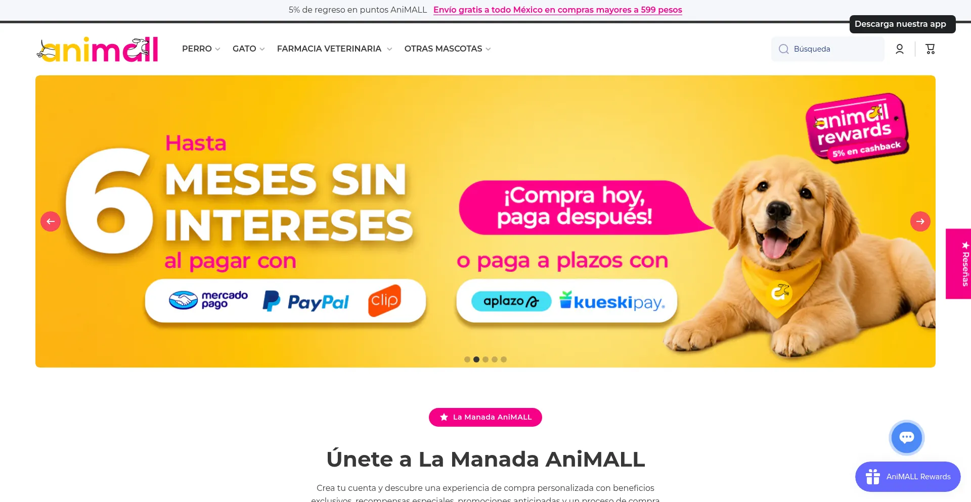 Animall.com.mx