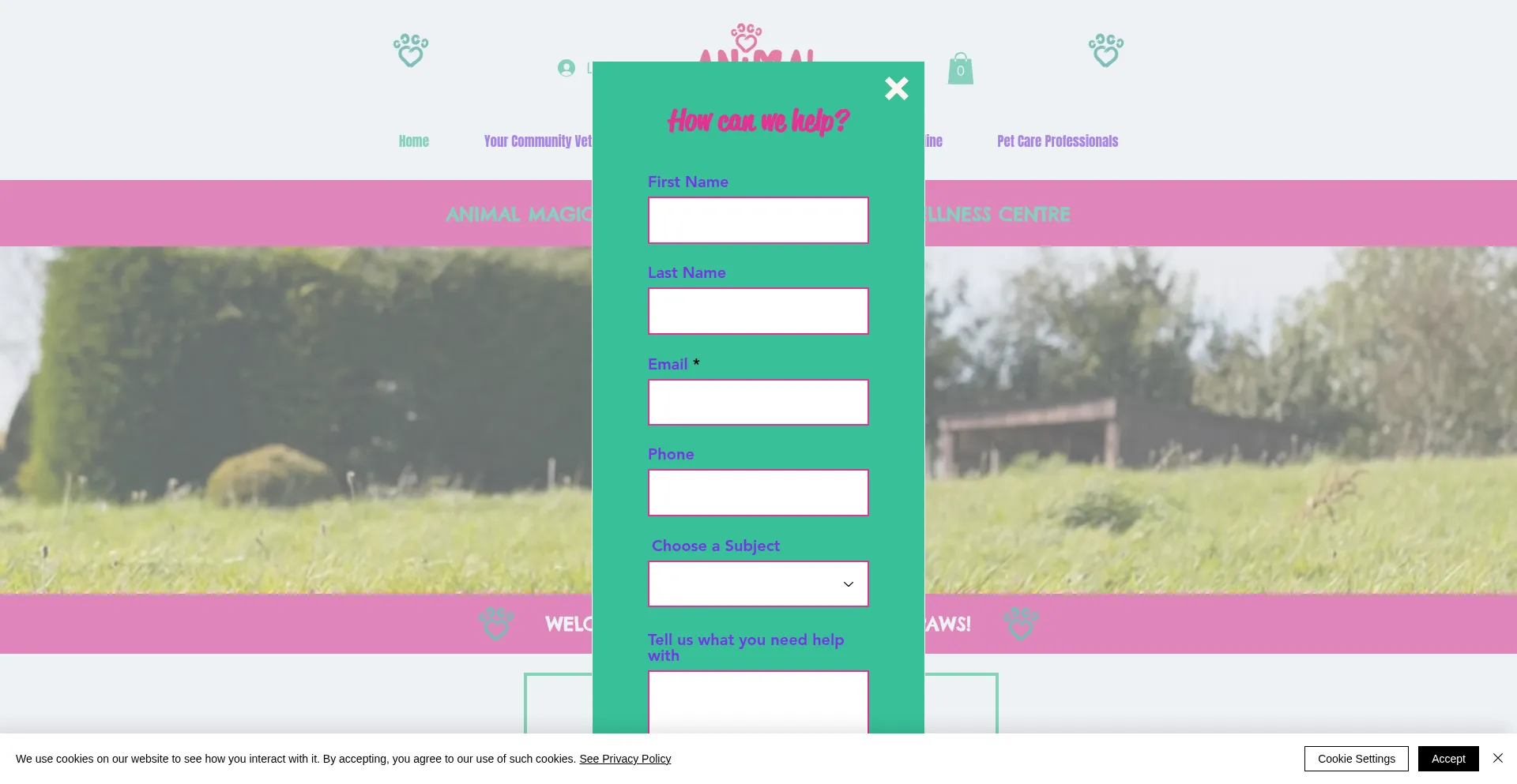 Website screenshot of Animalmagicfamily.co.uk