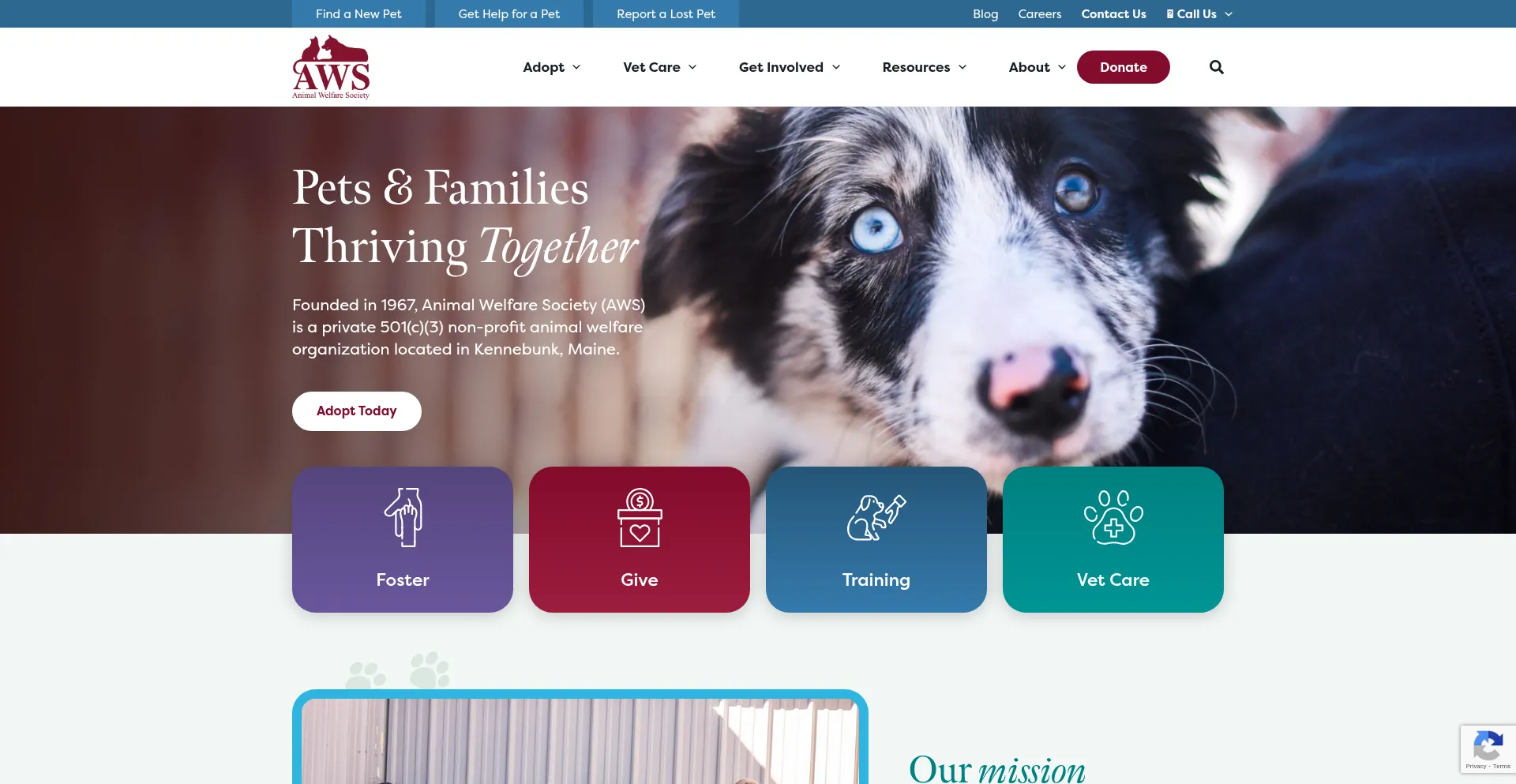Animalwelfaresociety.org Screenshot