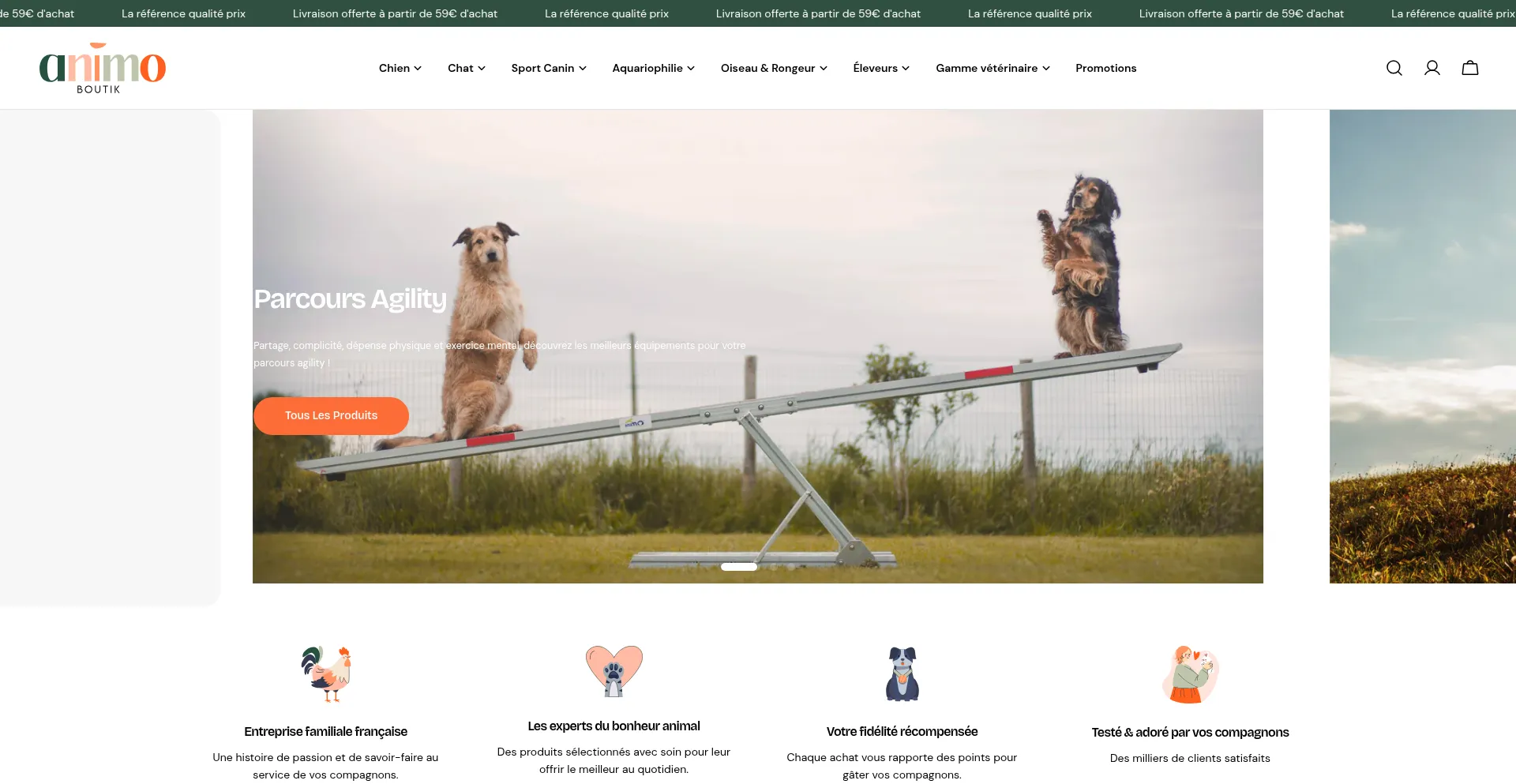 Website screenshot of Animo-boutik.com