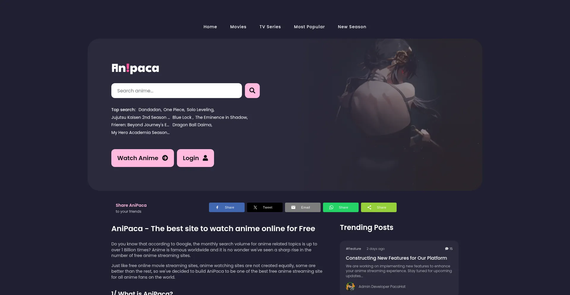 Website screenshot of Anipaca.my