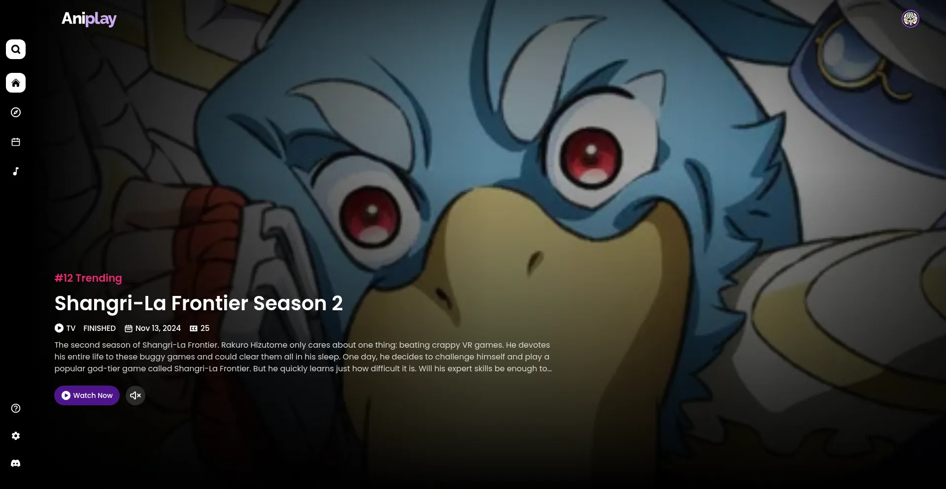 Website screenshot of Aniplaynow.live