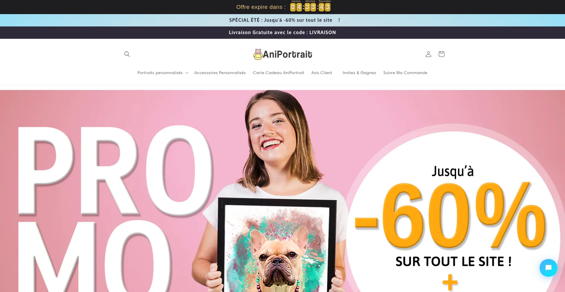 Website screenshot of Aniportrait.com