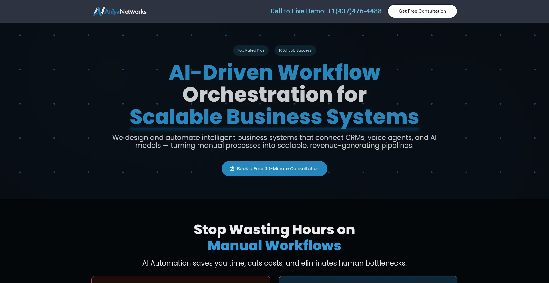 Aniyanetworks.net