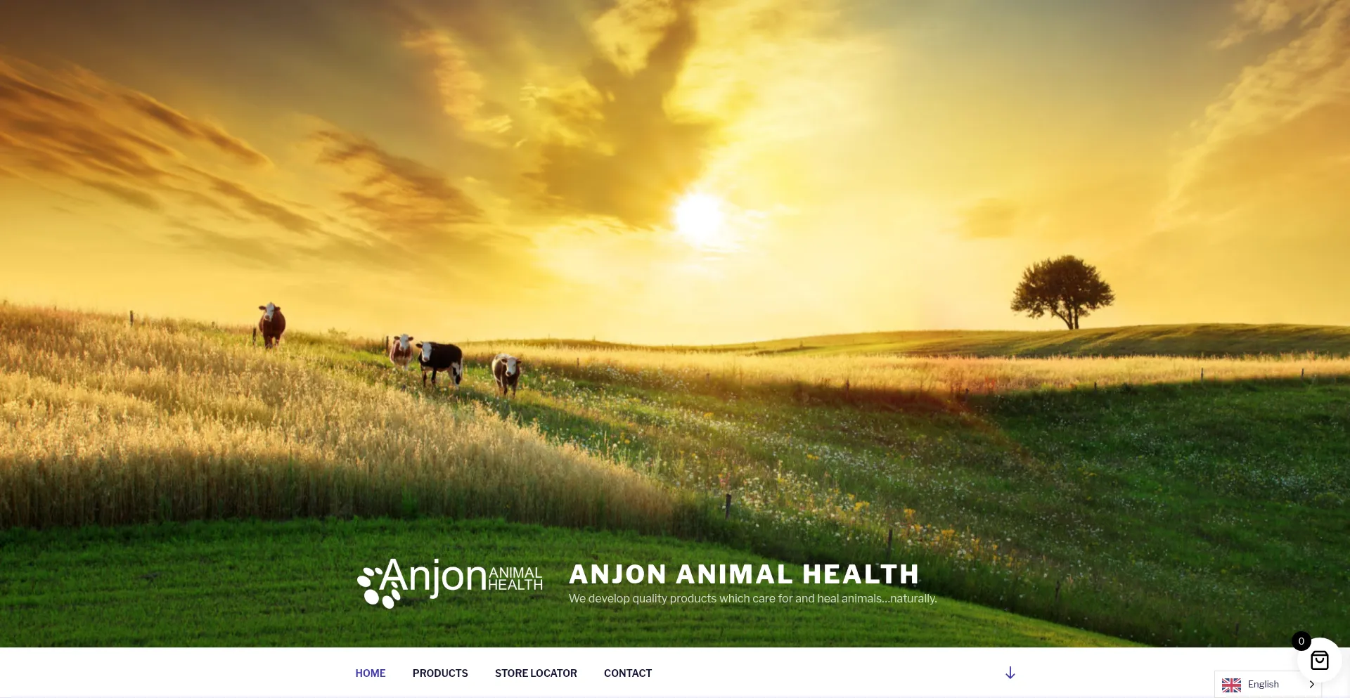 Anjonanimalhealth.com