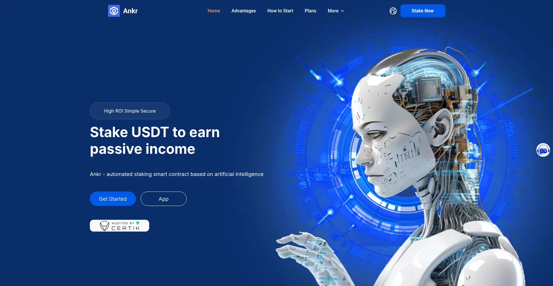 Website screenshot of Ankrai.com