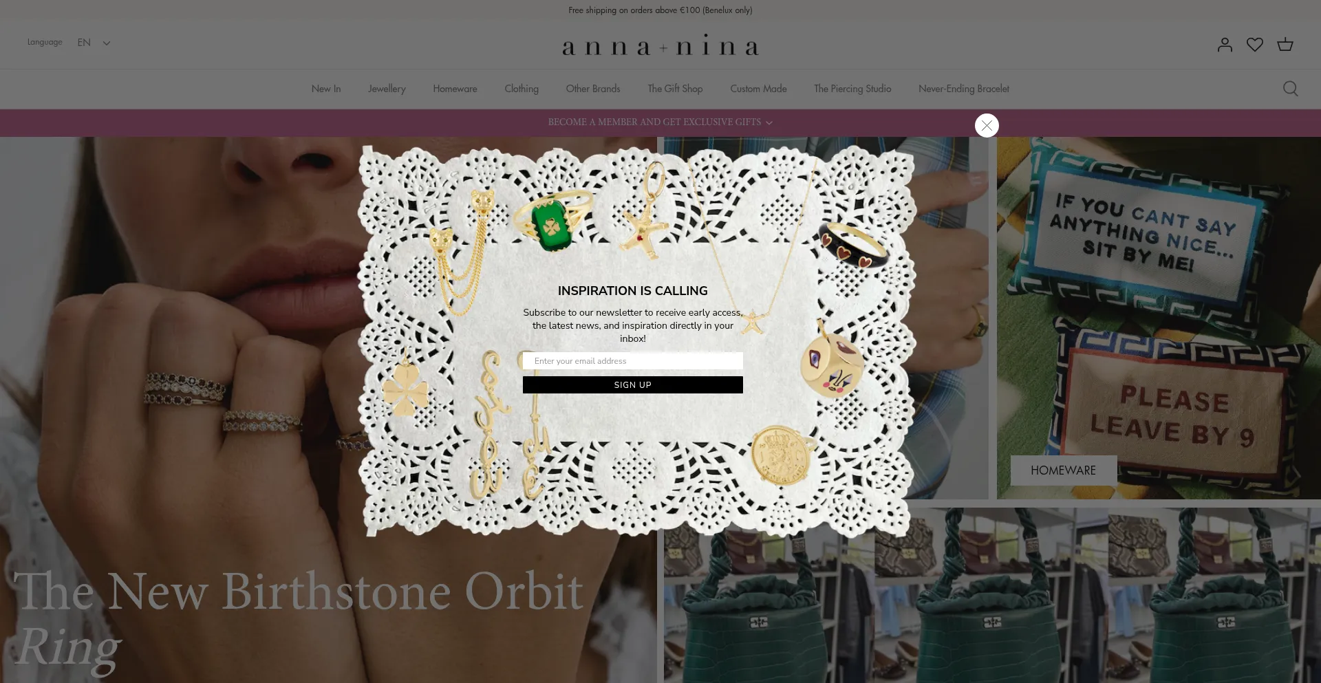 Website screenshot of Anna-nina.nl