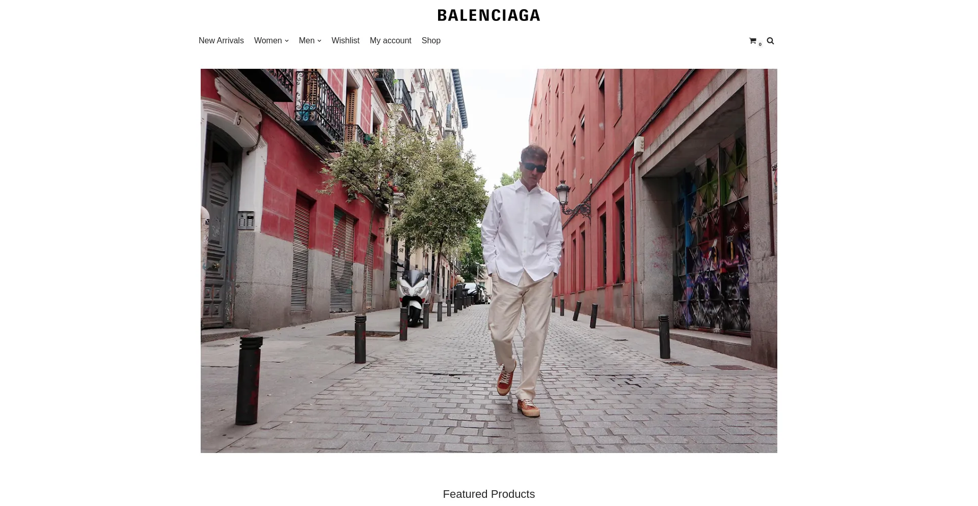 Website screenshot of Annecolin.shop