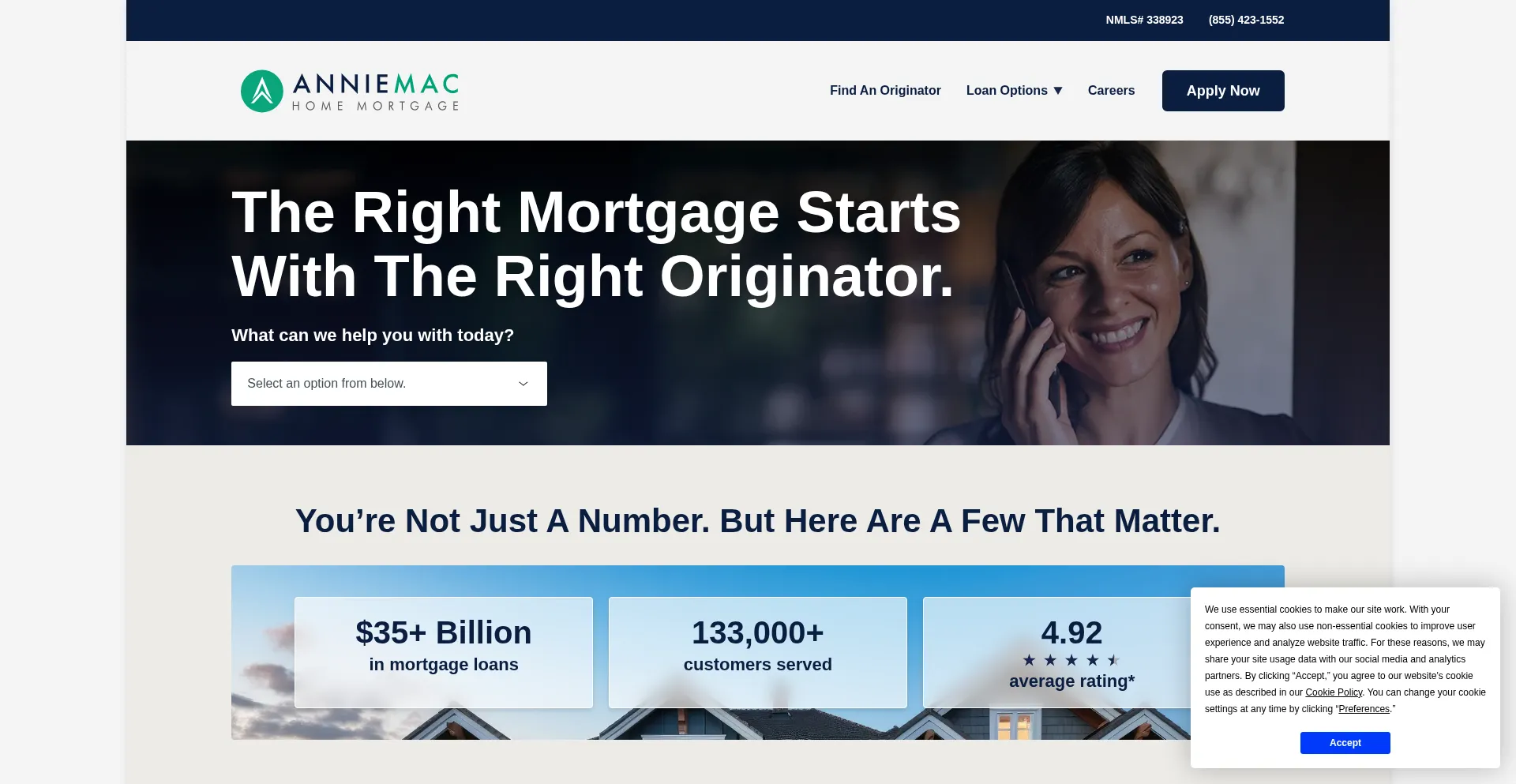 Website screenshot of Annie-mac.com