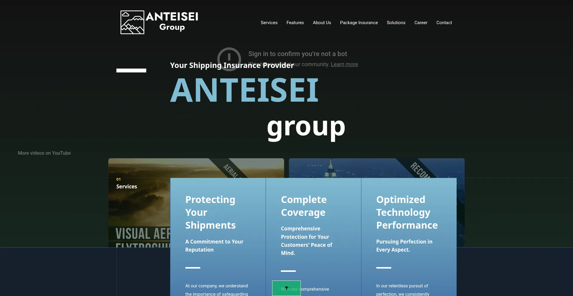 Website screenshot of Anteisei.com