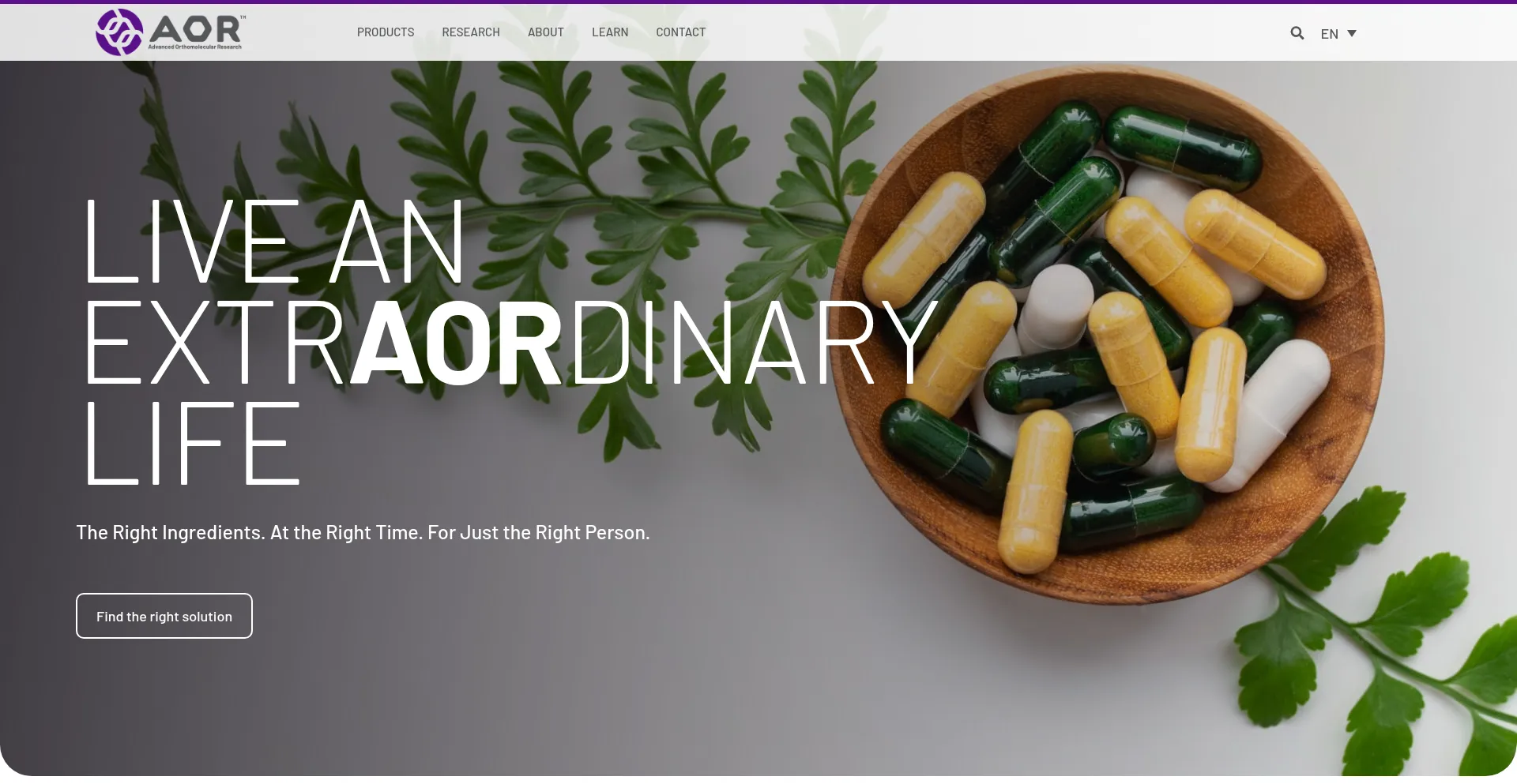 Website screenshot of Aor.us