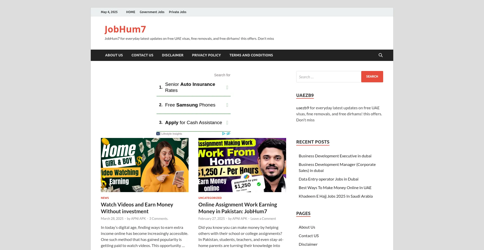 Website screenshot of Apniapk.com