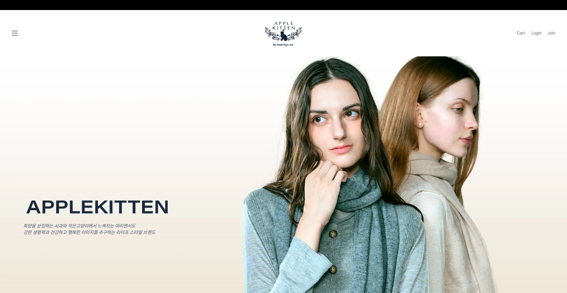 Website screenshot of Applekitten.co.kr
