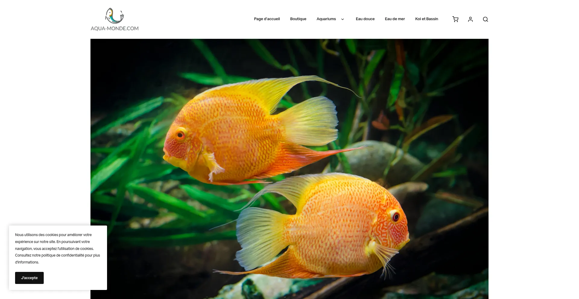 Aqua-monde.com