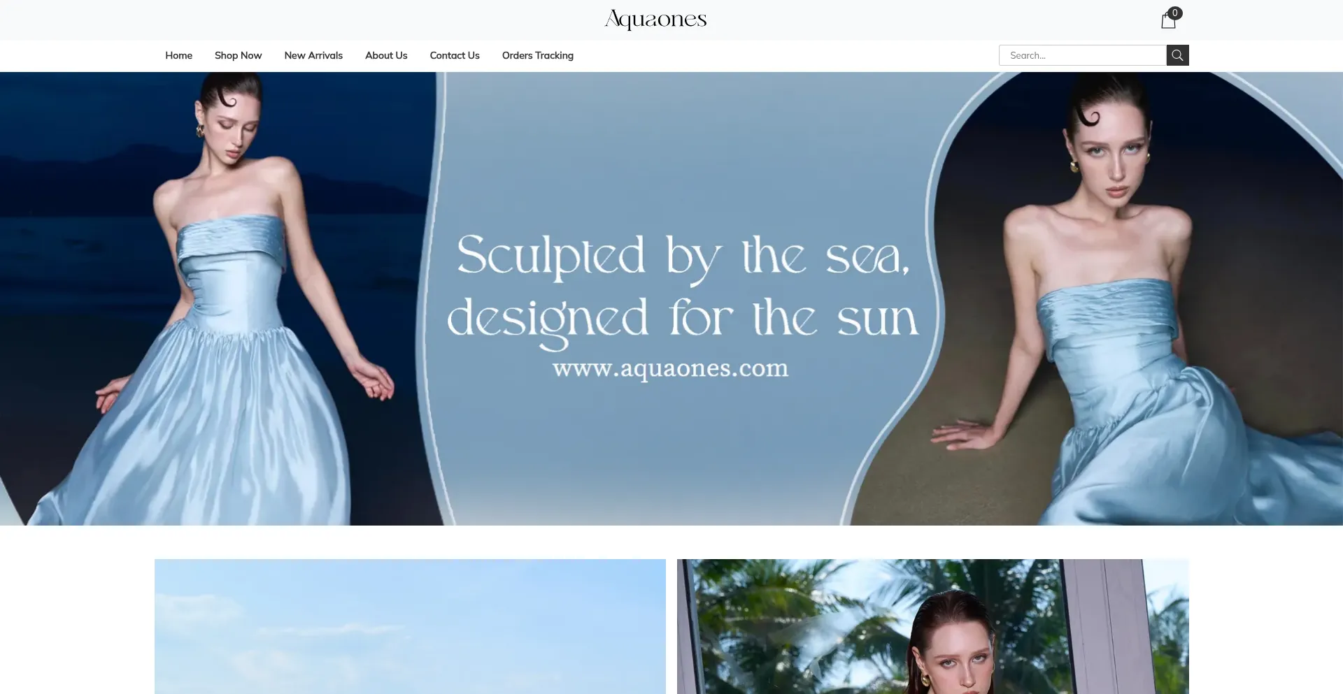 Website screenshot of Aquaones.com