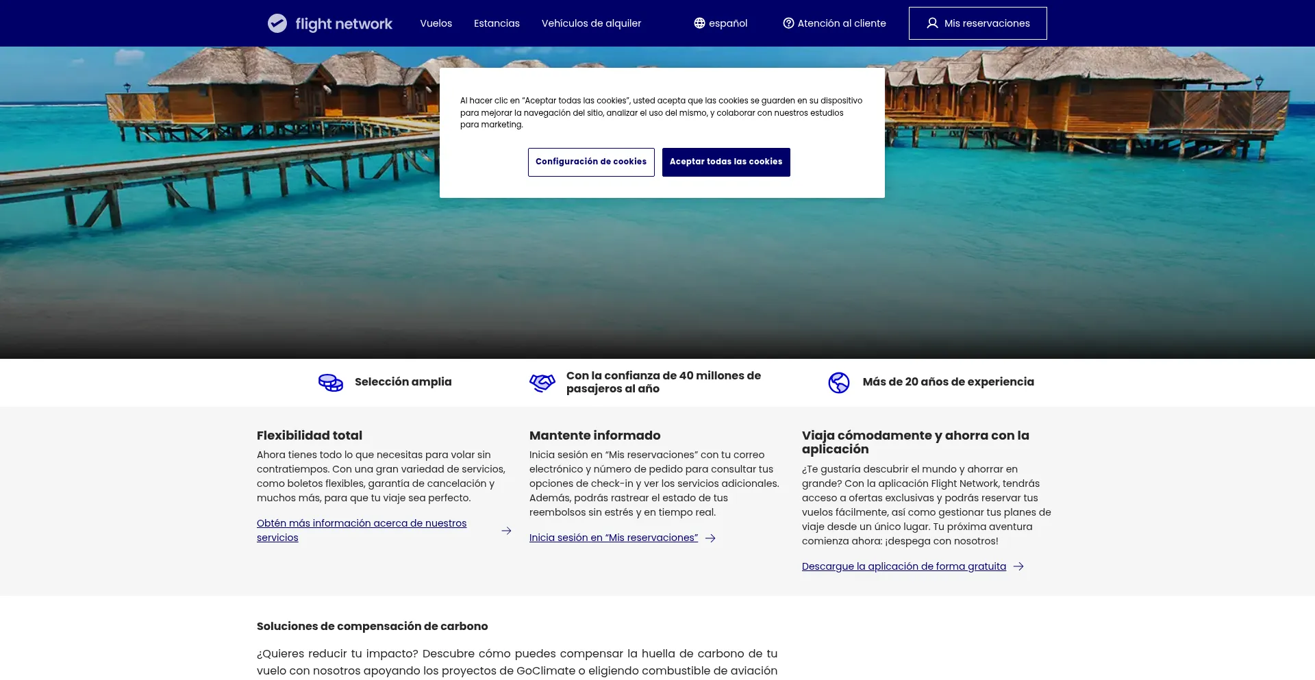 Website screenshot of Ar-es.flightnetwork.com
