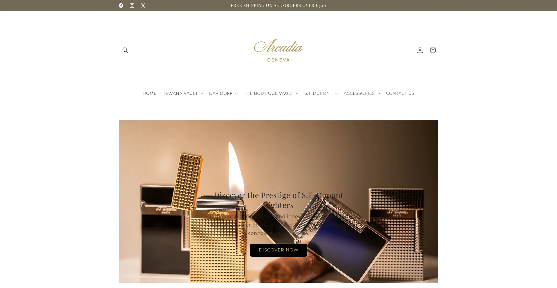 Website screenshot of Arcadiageneva.com