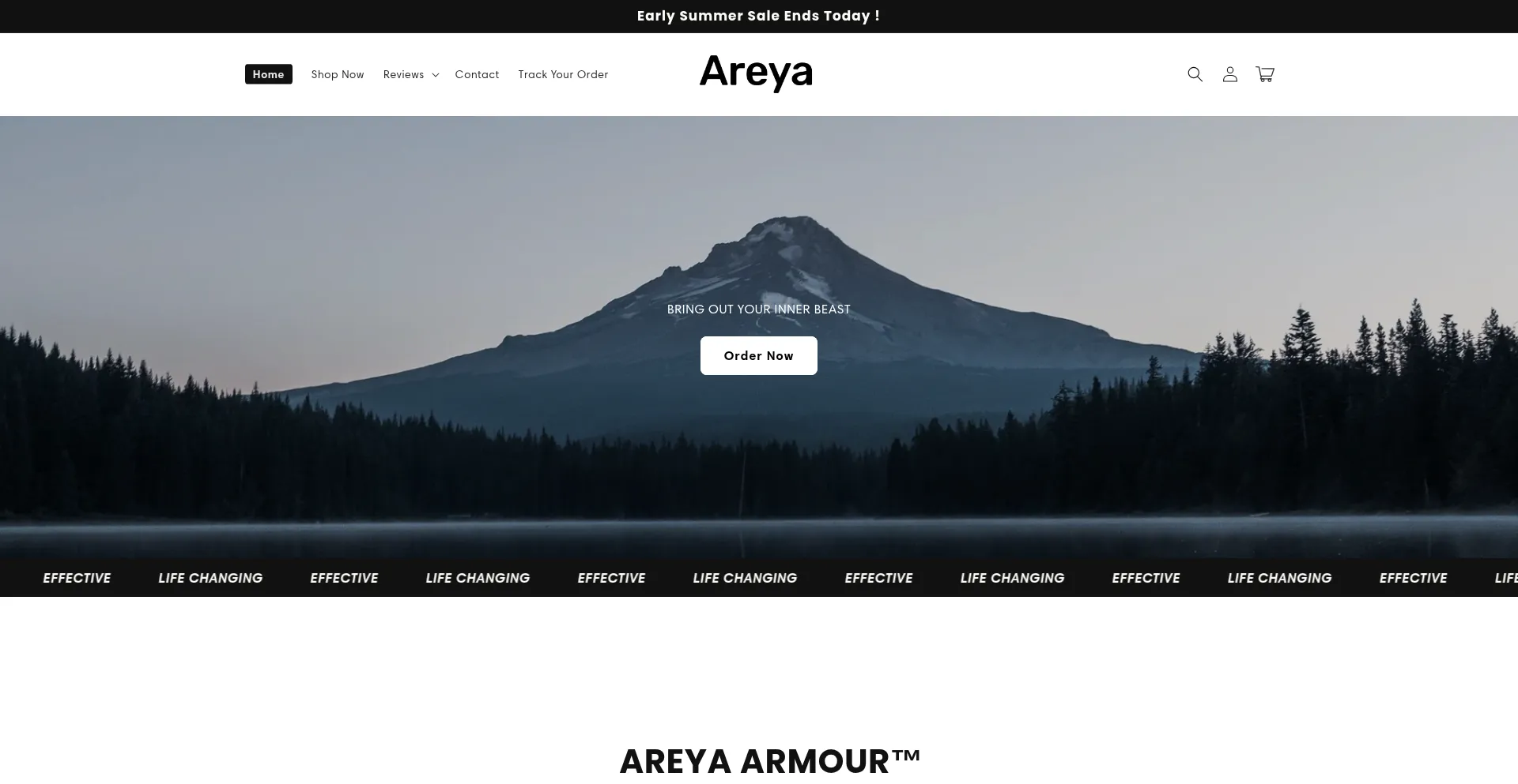 Website screenshot of Areyashop.com