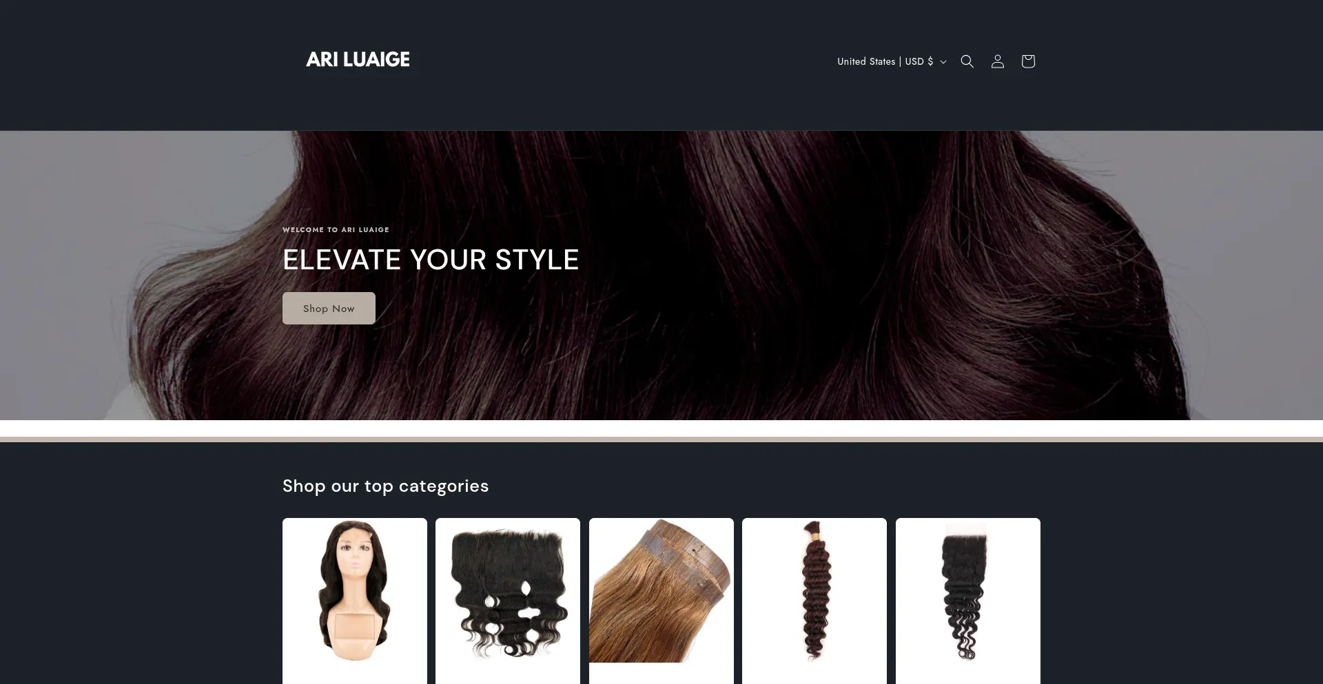 Website screenshot of Ariluaige.com