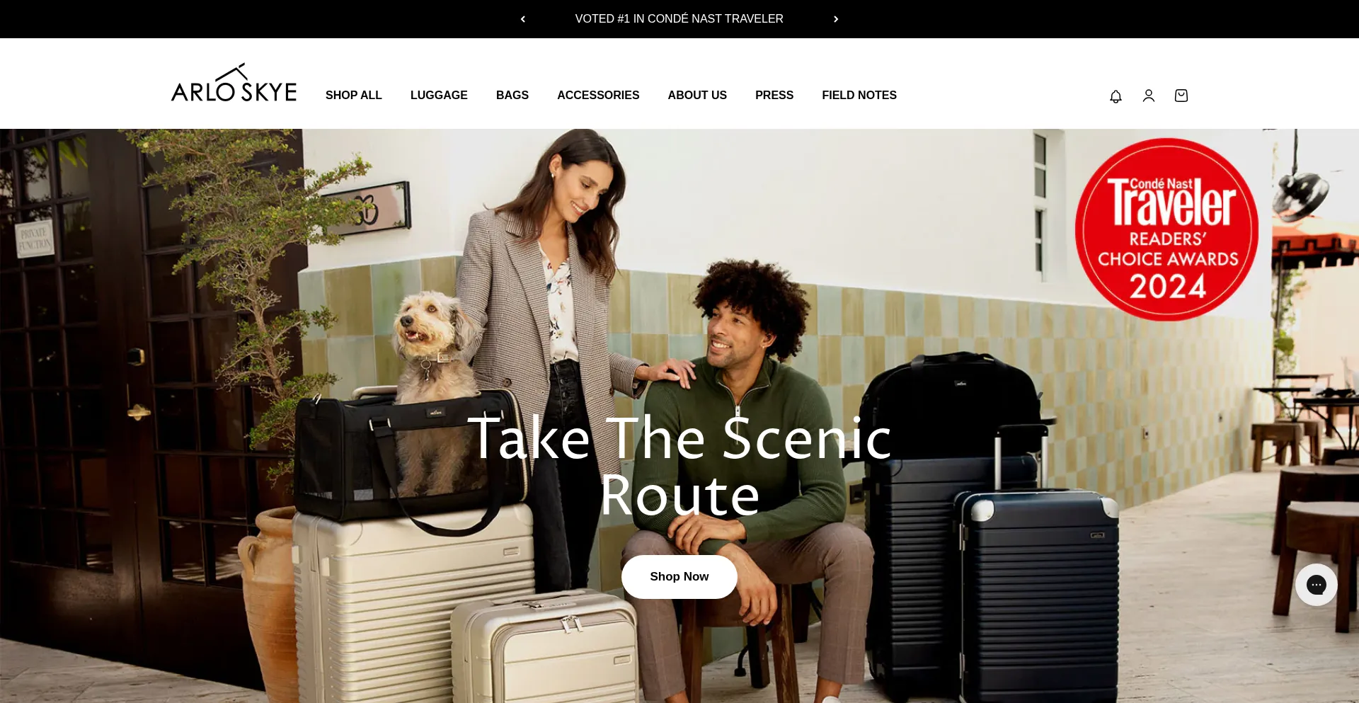 Arloskye.com Screenshot