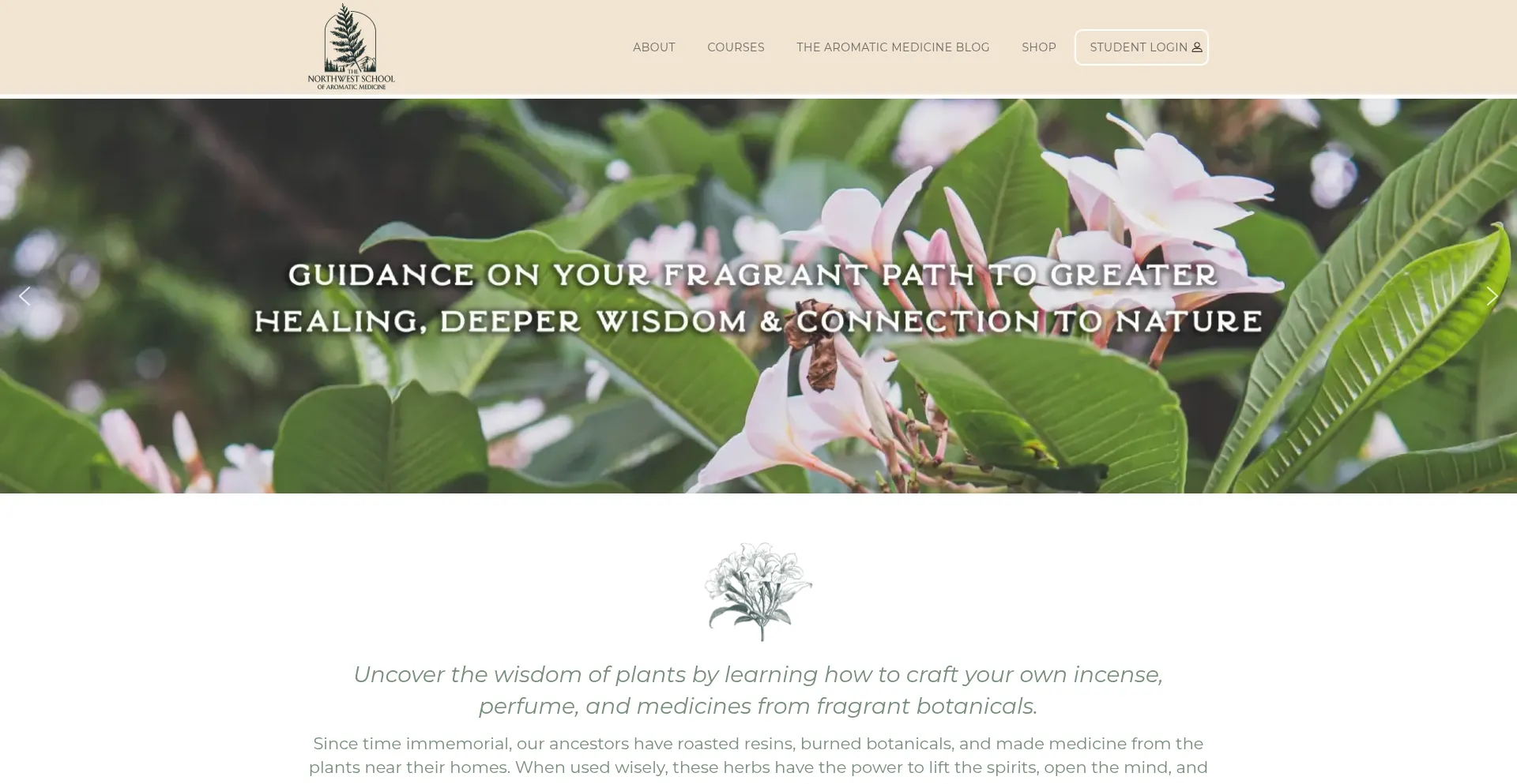 Aromaticmedicineschool.com Screenshot