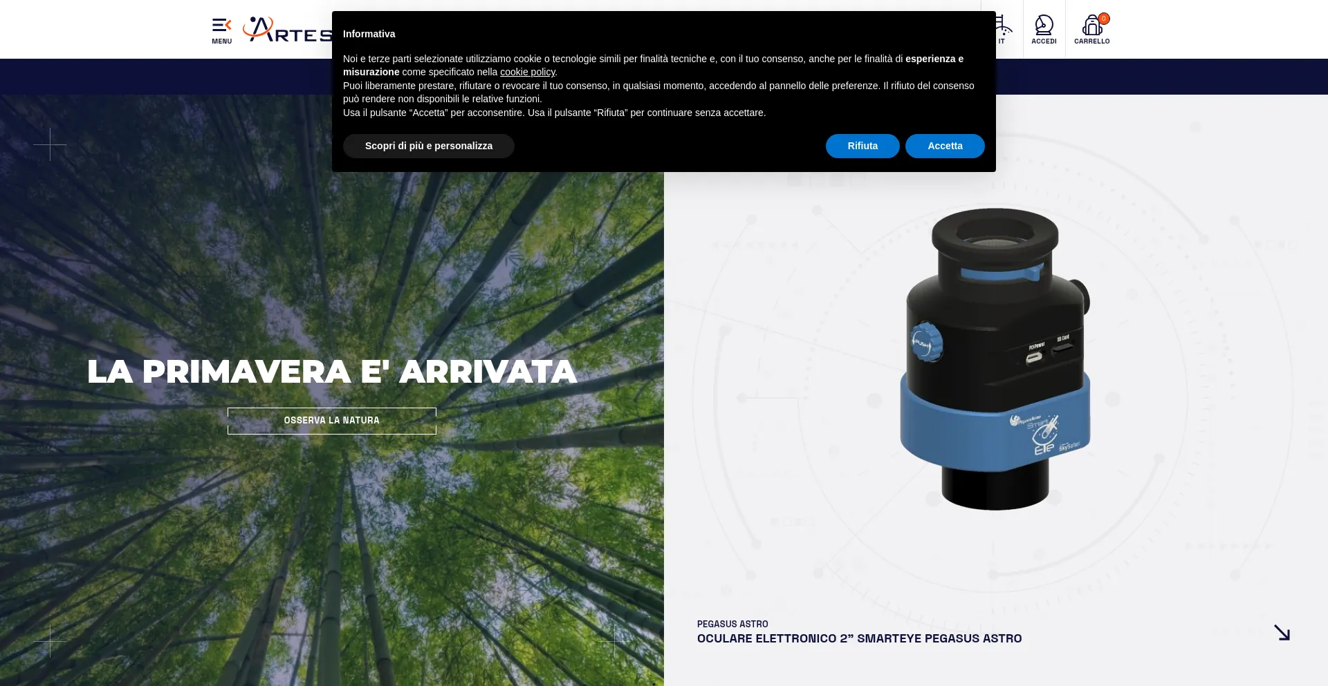 Website screenshot of Artesky.it