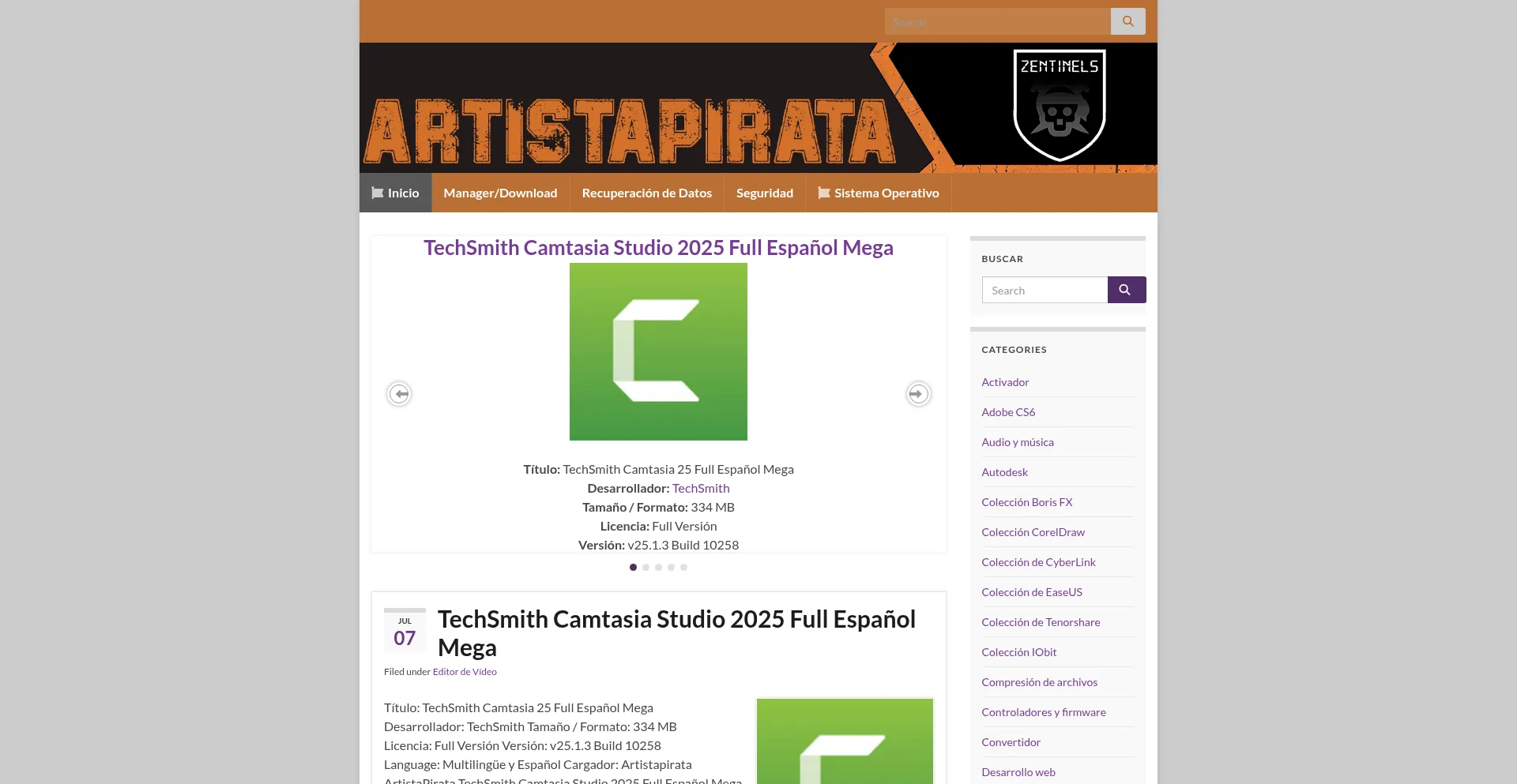 Website screenshot of Artistapirata.vip