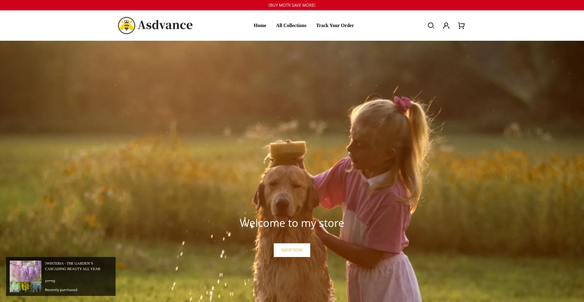 Is Asdvance.com Safe?