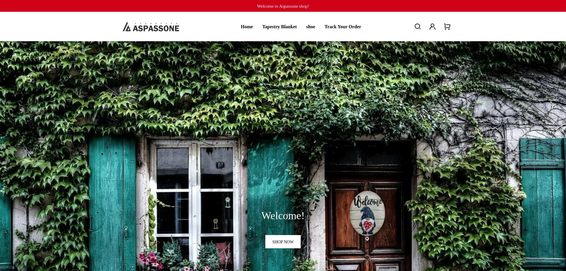 Website screenshot of Aspassone.com