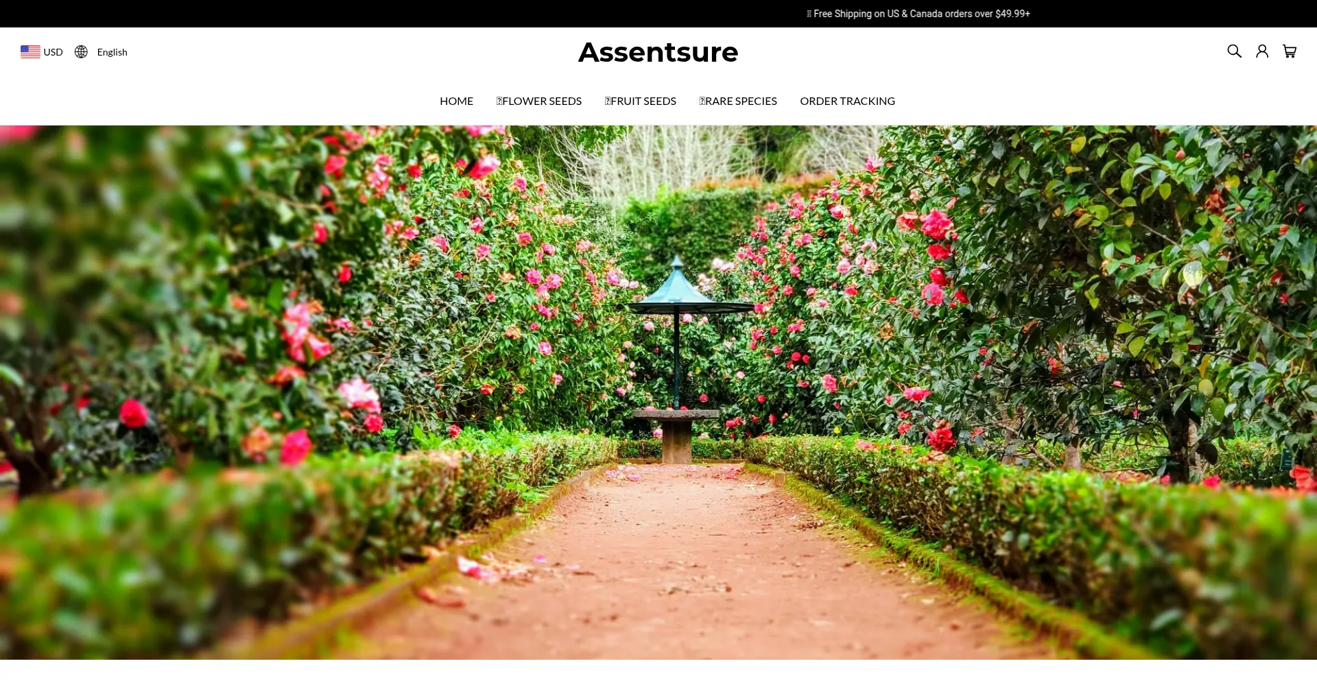 Assentsure.com
