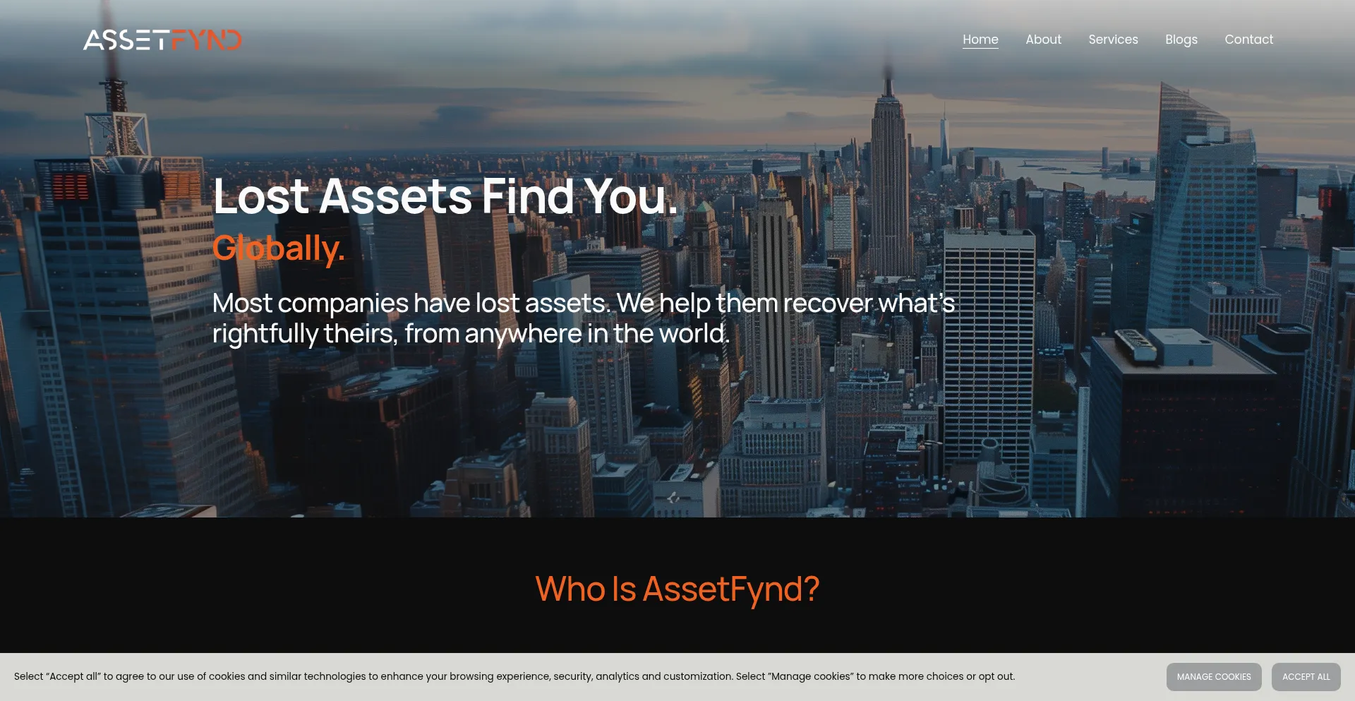 Website screenshot of Assetfynd.com